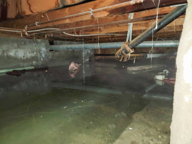Best Emergency water damage restoration  in Denver, NC