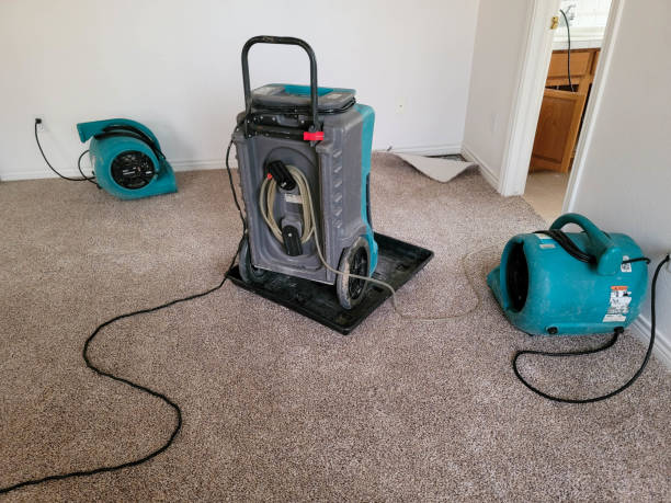 Best Sewage cleanup and water damage restoration  in Denver, NC