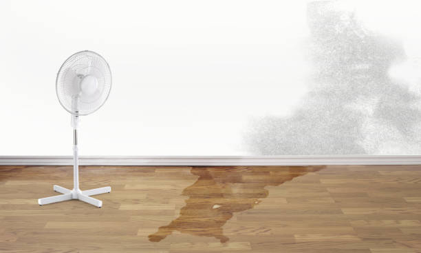 Best Water damage contractors near me  in Denver, NC