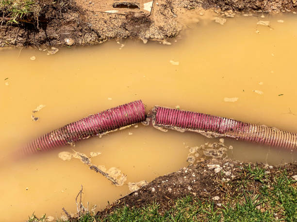 Best Basement water damage restoration  in Denver, NC